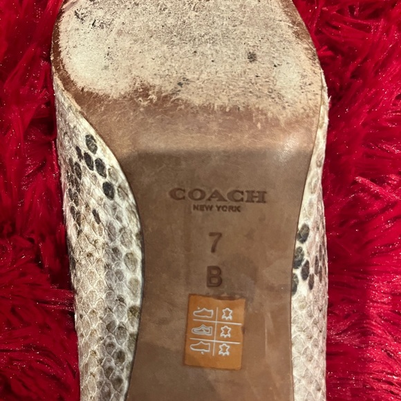 Women’s snake design shoes size 7 - Picture 4 of 9